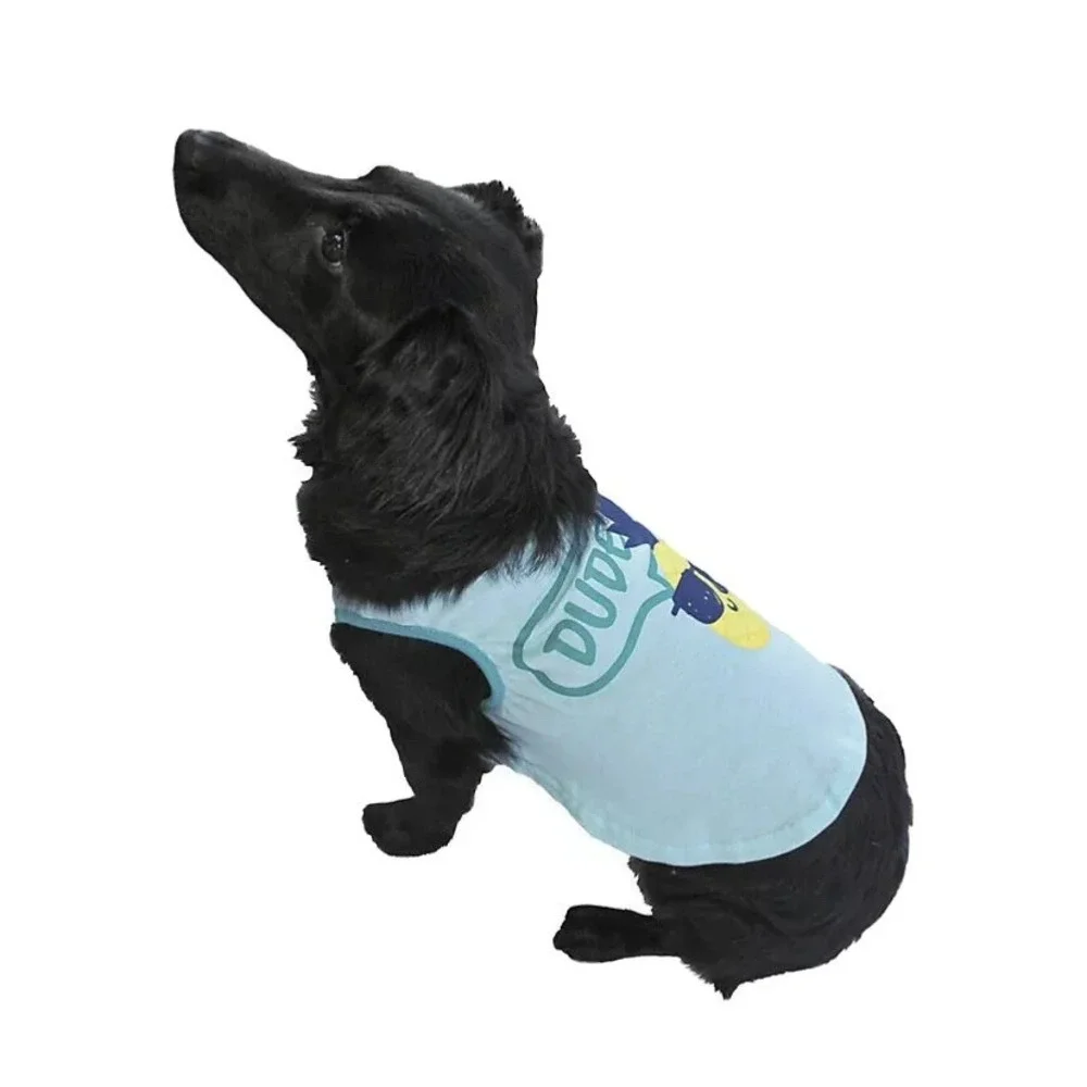 Woof Pet Apparel Dude Pineapple Shirt Large Aqua New with Tags Dog Comfortable